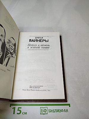 Петля и камень в зеленой траве