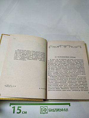 Карл Брюллов в Петербурге