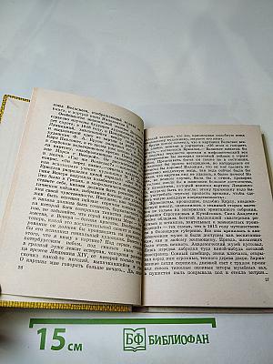 Карл Брюллов в Петербурге