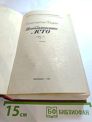Необыкновенное лето