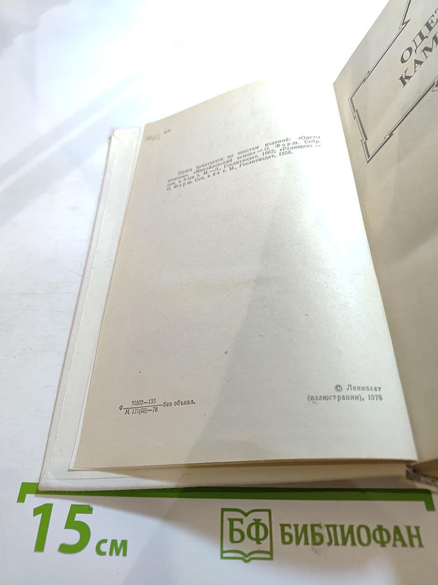 Одеты камнем. Радищев. Михайловский замок