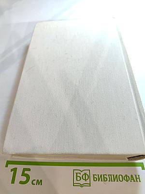 Одеты камнем. Радищев. Михайловский замок