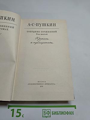 Собрание сочинений. Том шестой: Критика и публицистика
