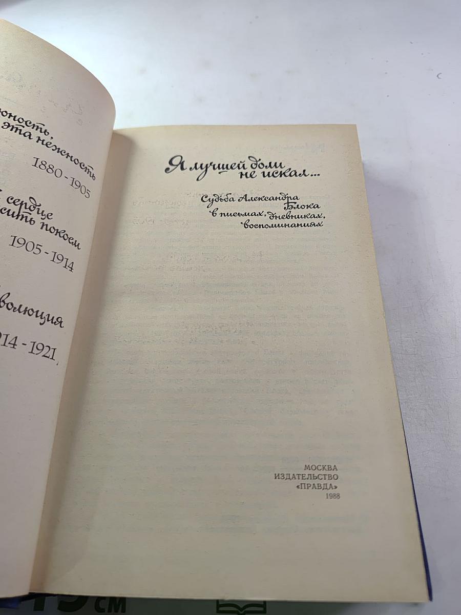 Я лучшей доли не искал... Судьба Александра Блока в письмах, дневниках, воспоминаниях