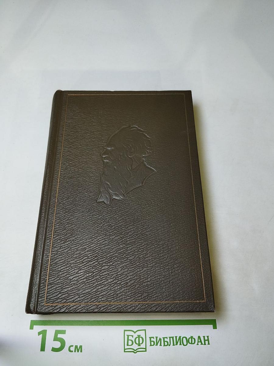 Собрание сочинений. Том семнадцатый: Письма 1845-1886 гг.