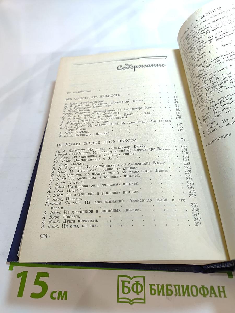 Я лучшей доли не искал... Судьба Александра Блока в письмах, дневниках, воспоминаниях