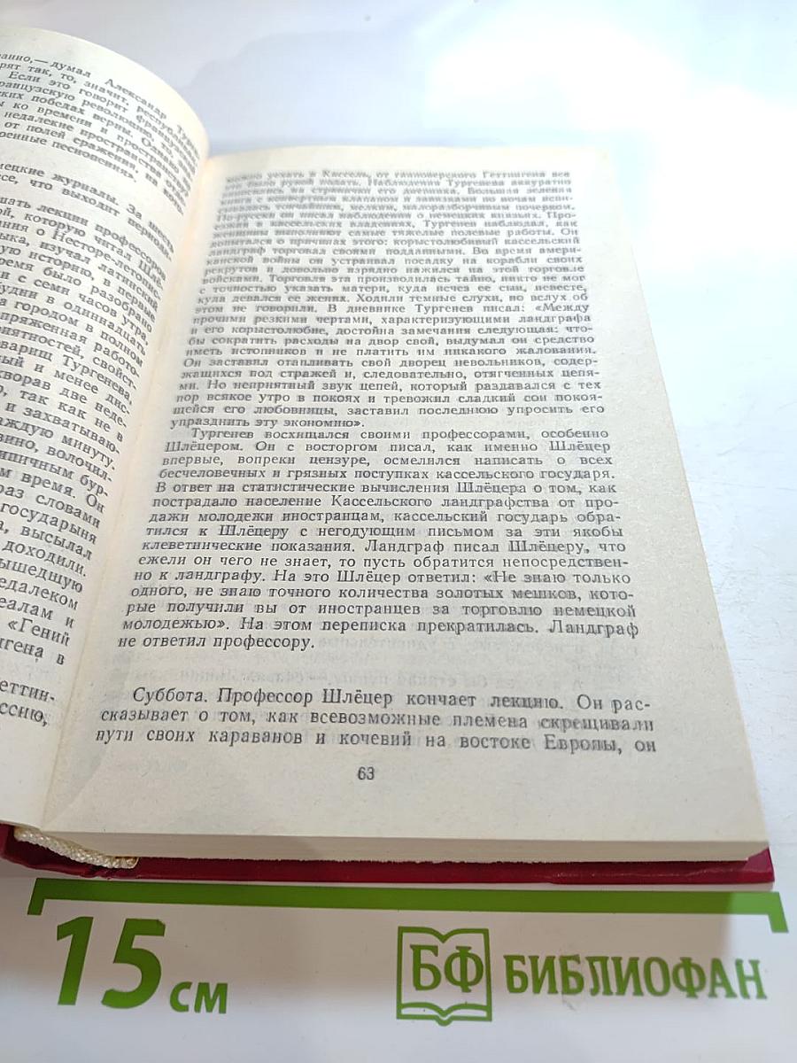 Повесть о братьях Тургеневых. Осуждение Паганини
