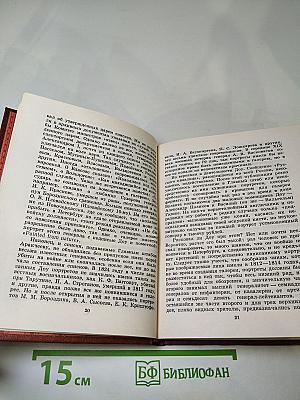 Пушкин и Военная галерея Зимнего дворца