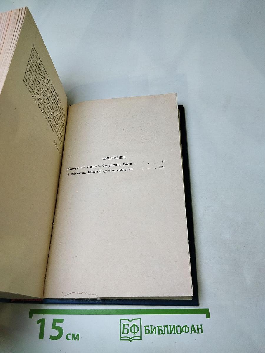 Пионеры, или У истоков Саскуиханны