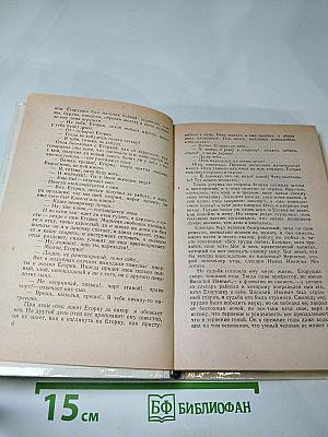 Мещанское счастье. Очерки бурсы