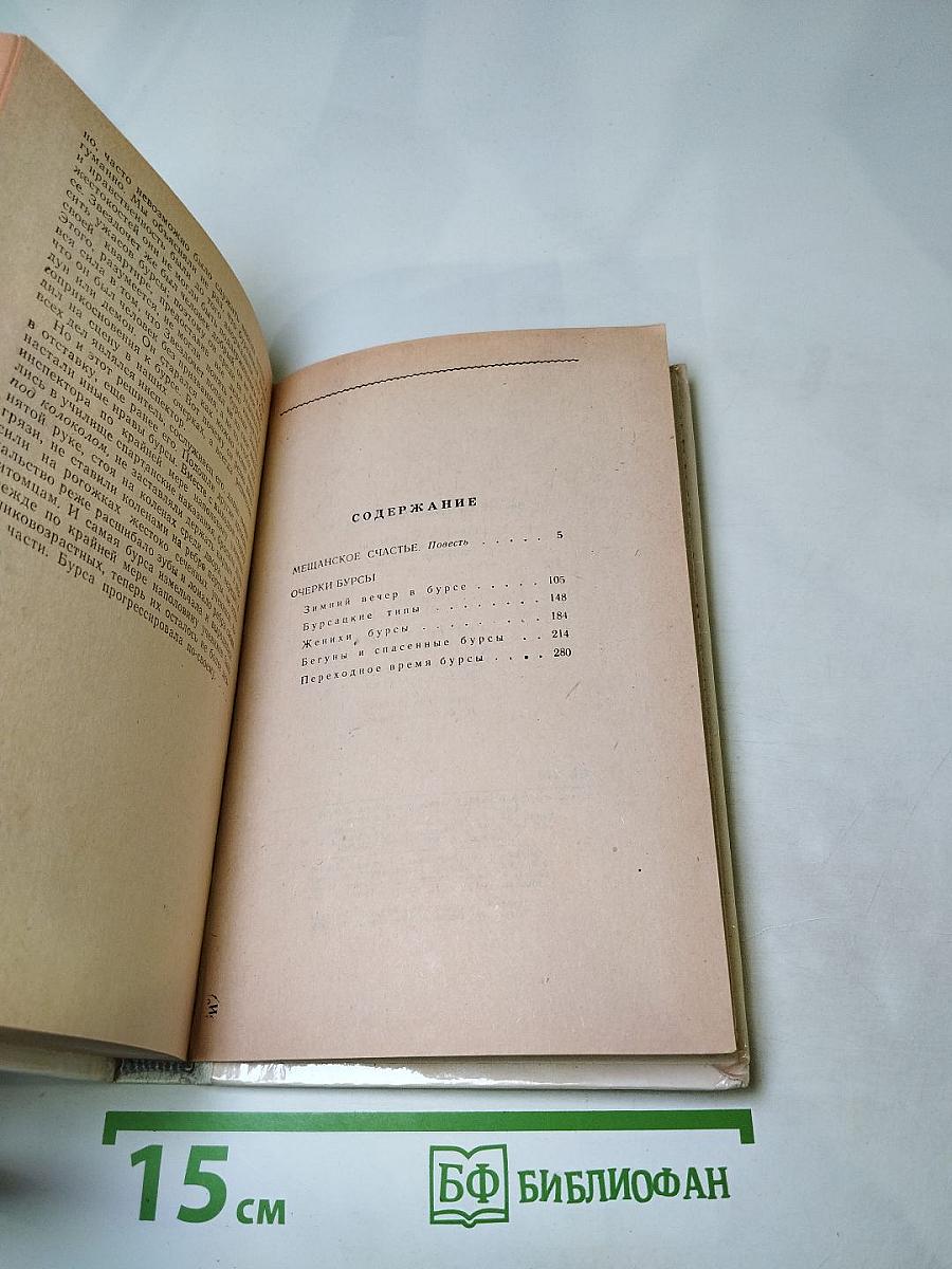 Мещанское счастье. Очерки бурсы