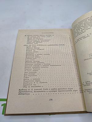 Пушкинский лицей: Очерк-путеводитель