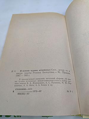 Я помню чудное мгновенье. Из русской любовной лирики
