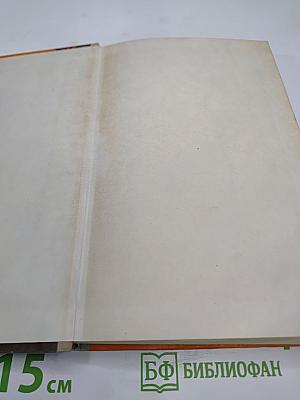 Операция «Феникс»