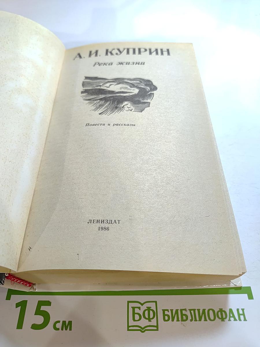 Река жизни. Повести и рассказы