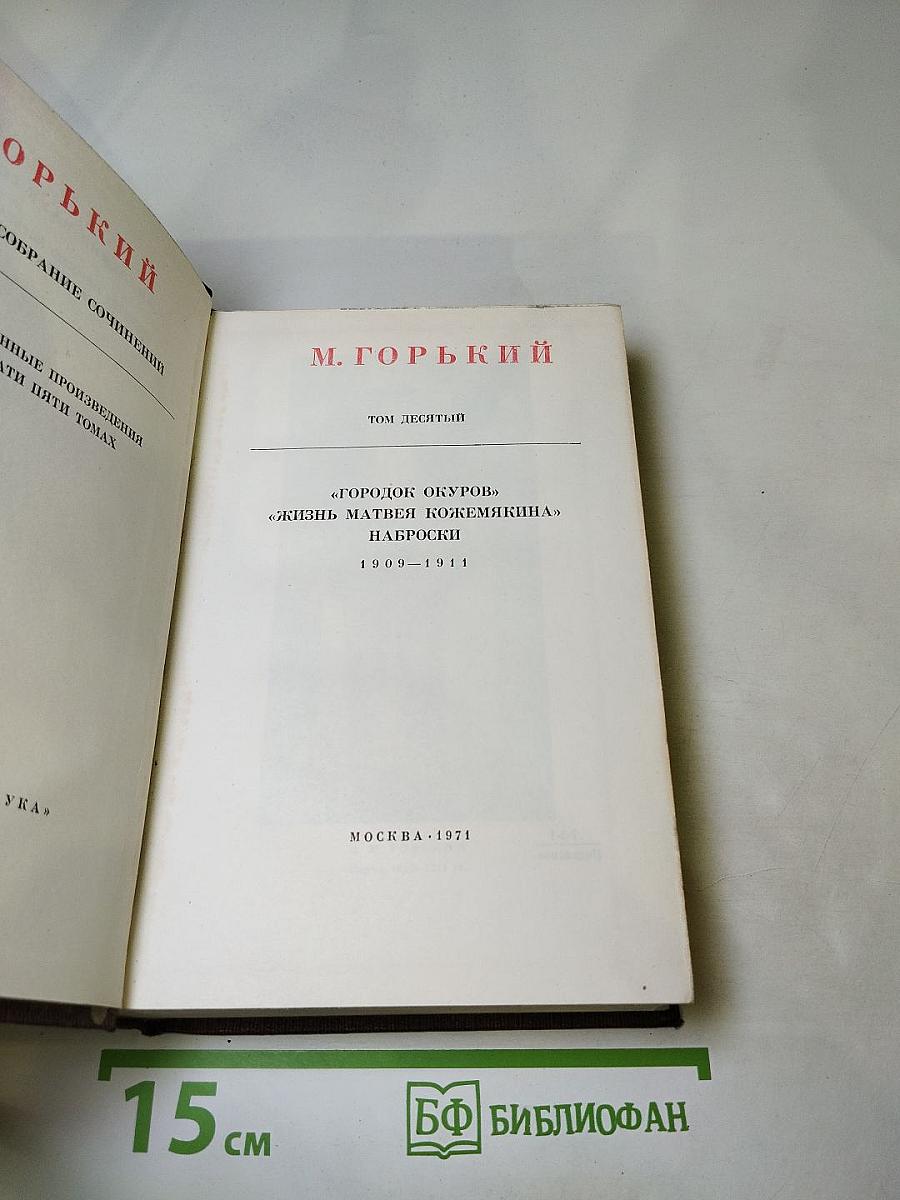 Собрание сочинений. Том десятый: Городок Окуров. Жизнь Матвея Кожемякина. Наброски