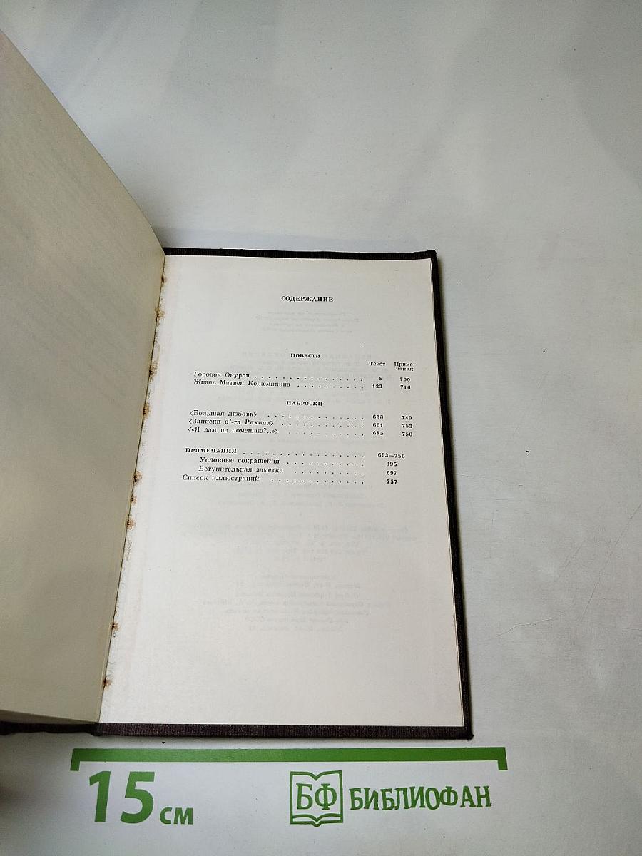 Собрание сочинений. Том десятый: Городок Окуров. Жизнь Матвея Кожемякина. Наброски