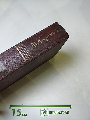 Собрание сочинений. Том десятый: Городок Окуров. Жизнь Матвея Кожемякина. Наброски