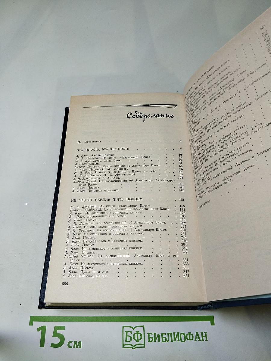 Я лучшей доли не искал...: Судьба Александра Блока в письмах, дневниках, воспоминаниях