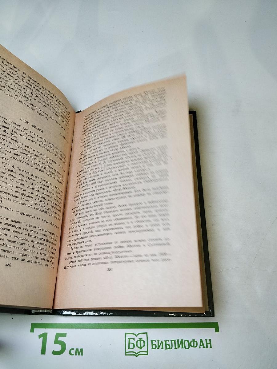 Чудаки. Хромой барин. Егор Абозов