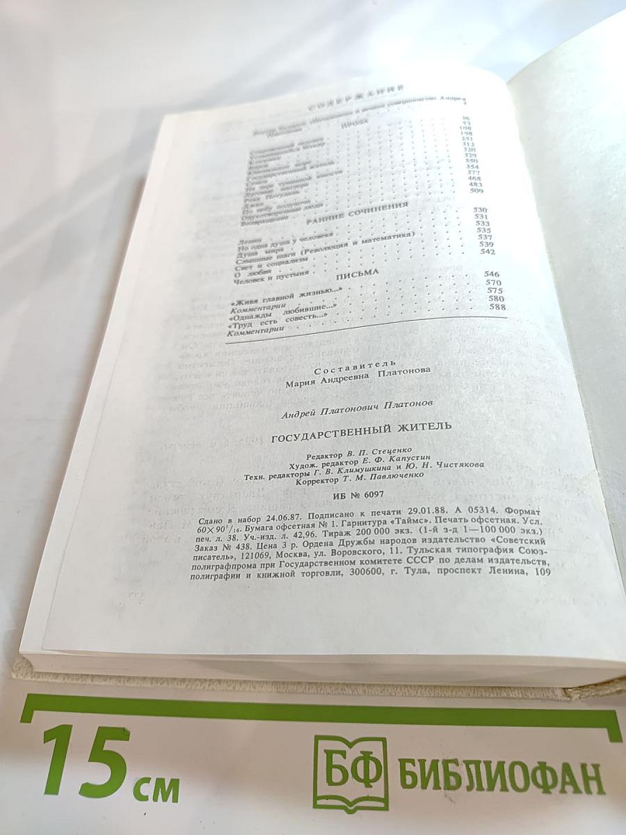 Андрей Платонов. Государственный житель
