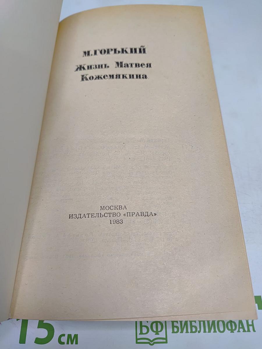 Жизнь Матвея Кожемякина