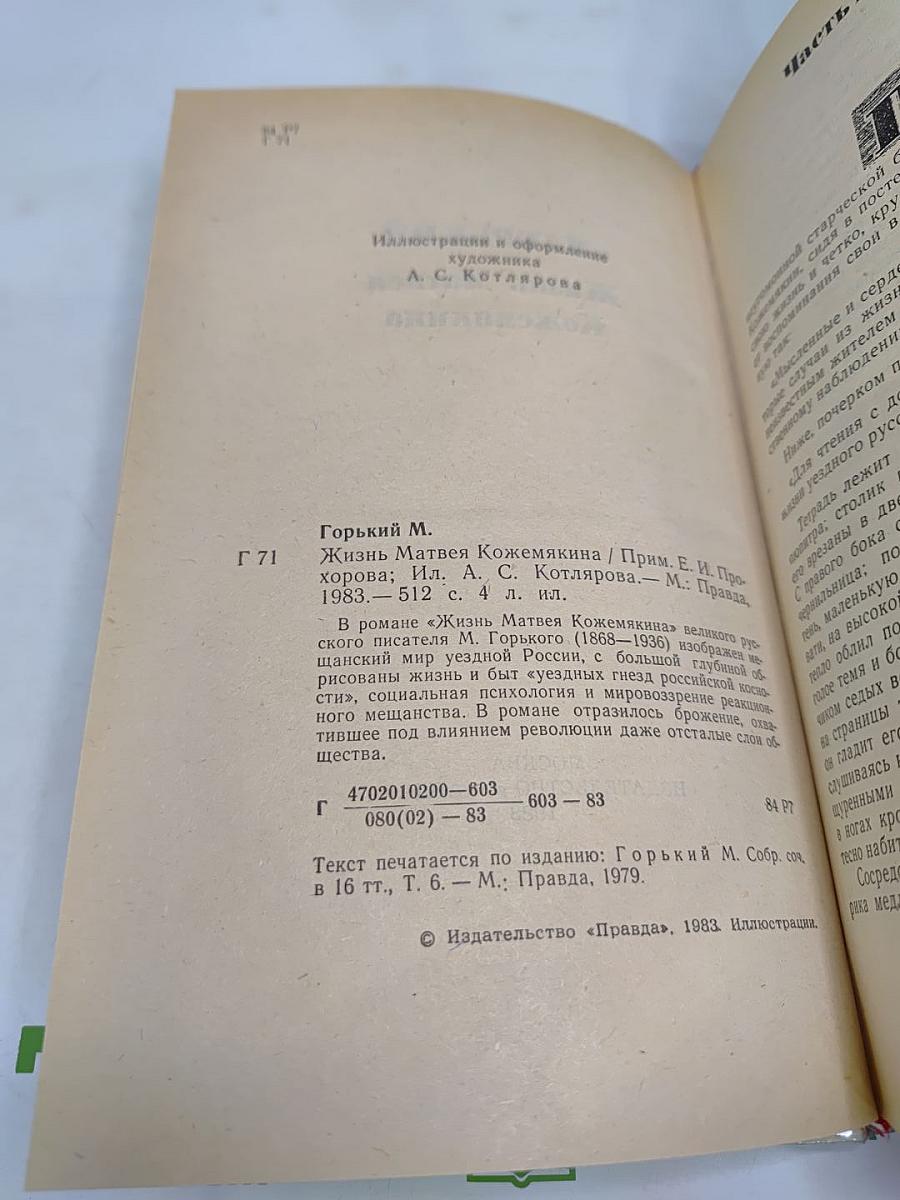 Жизнь Матвея Кожемякина