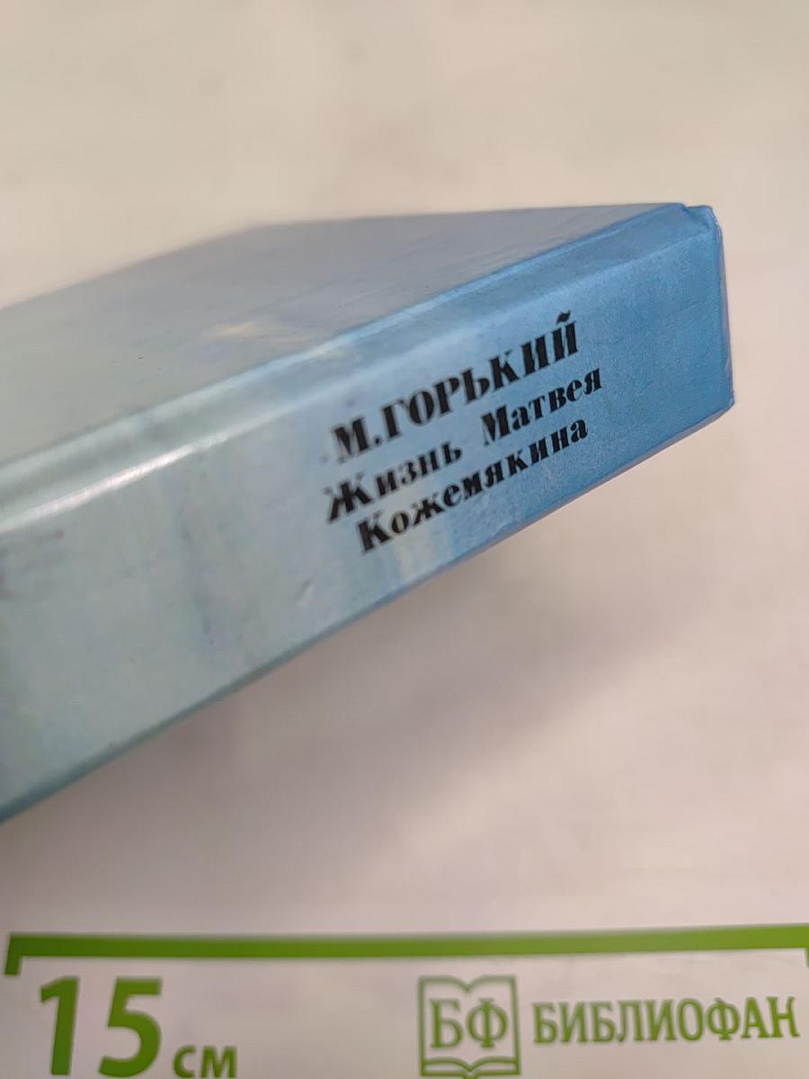 Жизнь Матвея Кожемякина