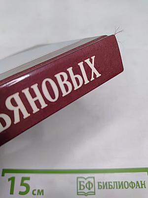 Семья Ульяновых