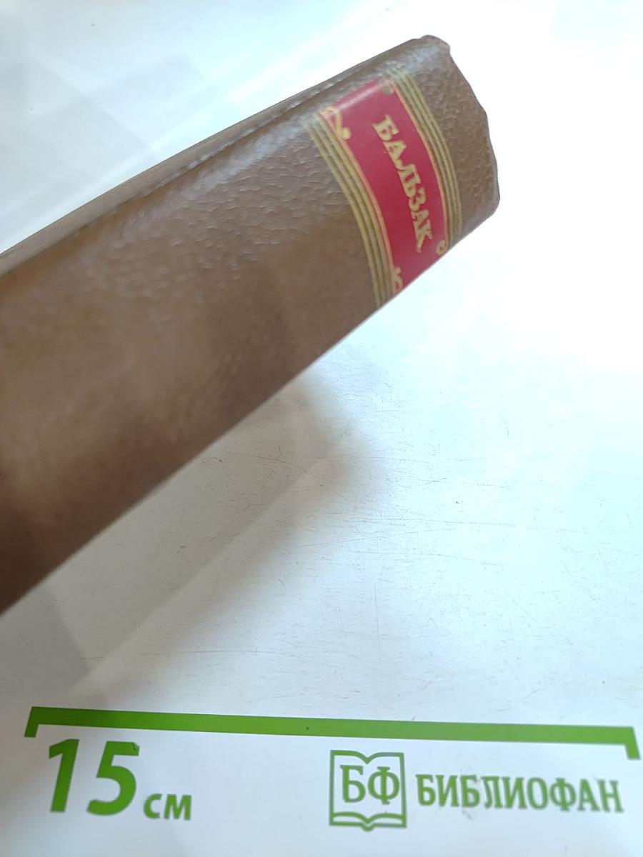 Человеческая комедия. Том II