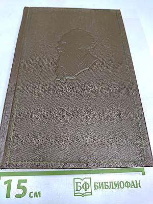 Собрание сочинений. Том девятнадцатый. Дневники 1847-1894 гг.