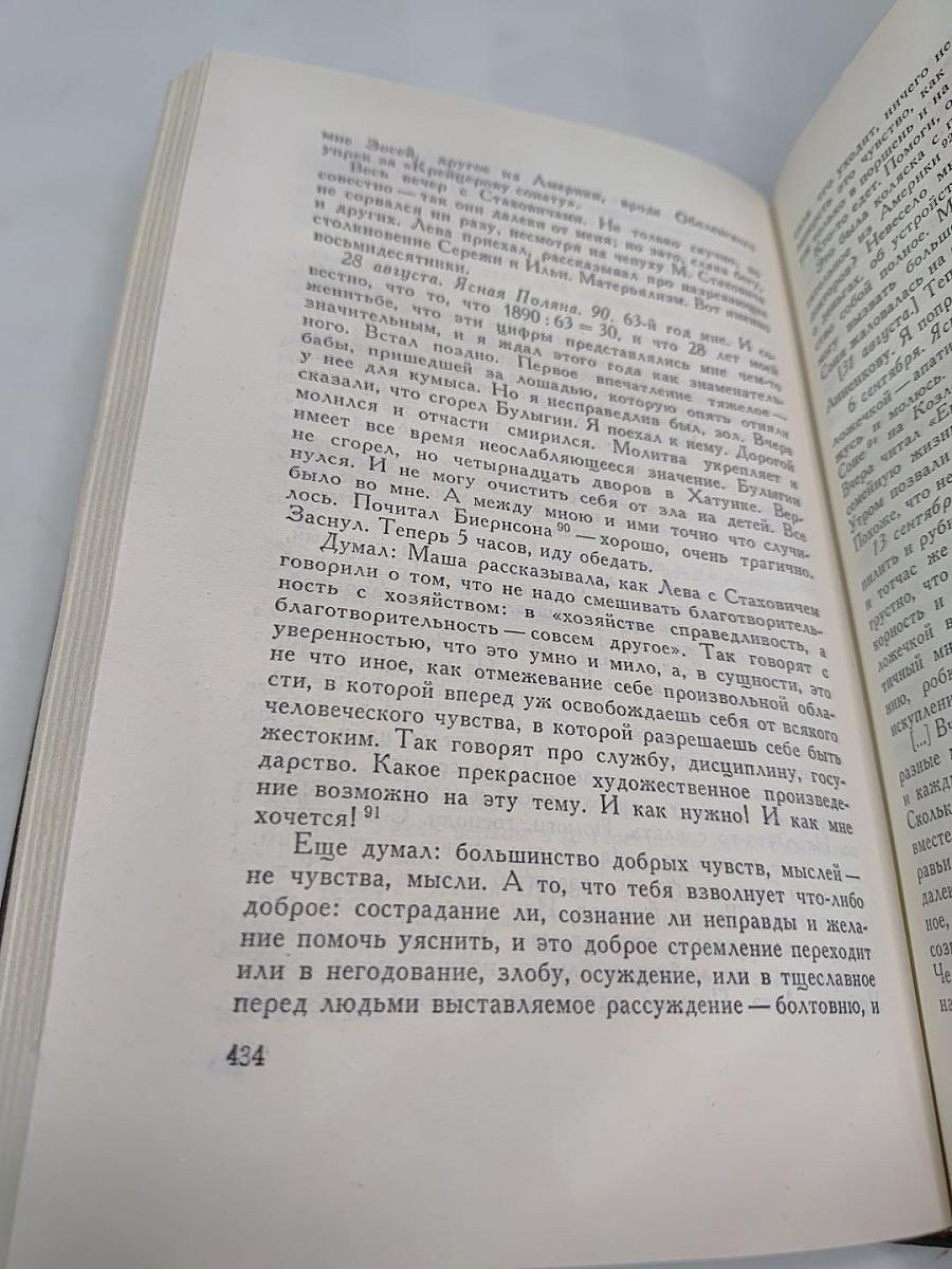Собрание сочинений. Том девятнадцатый. Дневники 1847-1894 гг.
