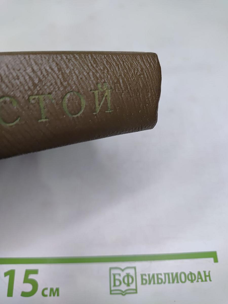 Собрание сочинений. Том девятнадцатый. Дневники 1847-1894 гг.