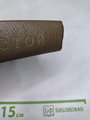 Собрание сочинений. Том девятнадцатый. Дневники 1847-1894 гг.