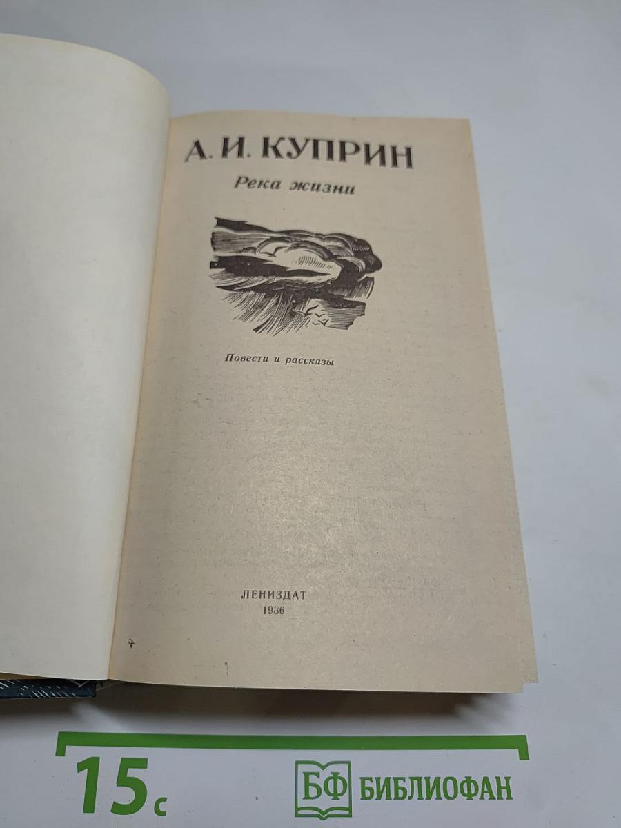 Река жизни: Повести и рассказы