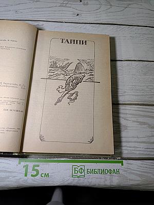 Тайпи
