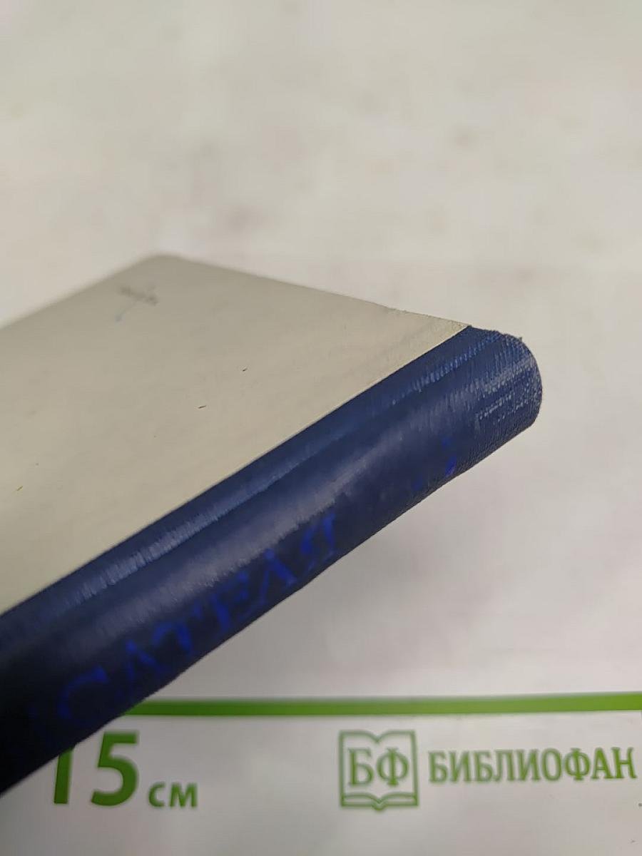 День из жизни писателя