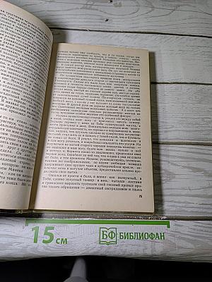 Тайпи