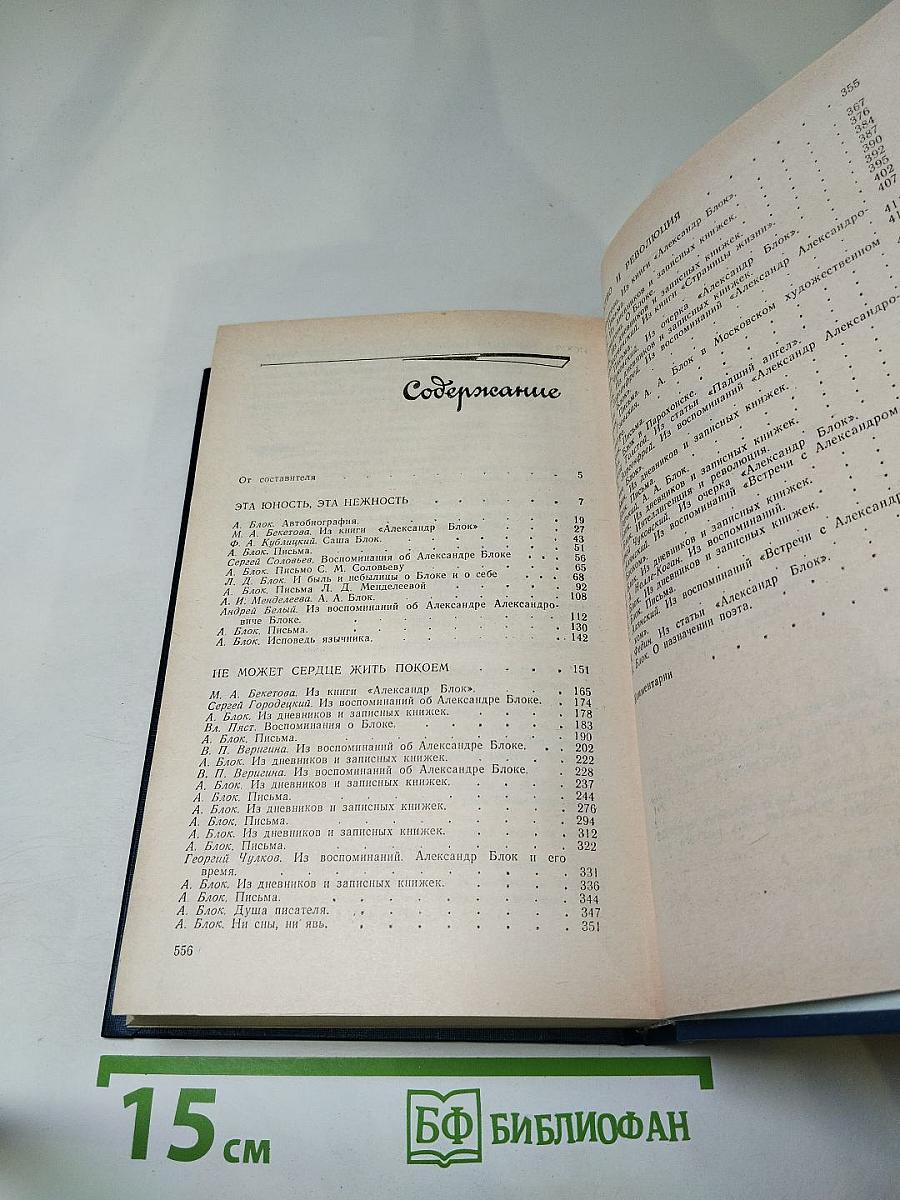 Я лучшей доли не искал... Судьба Александра Блока в письмах, дневниках, воспоминаниях