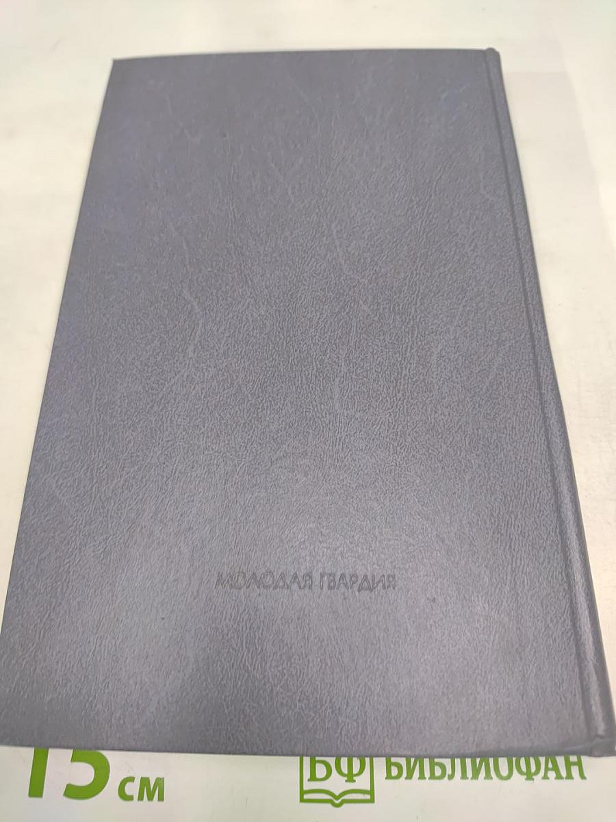 Кануны. Хроника конца 20-х годов