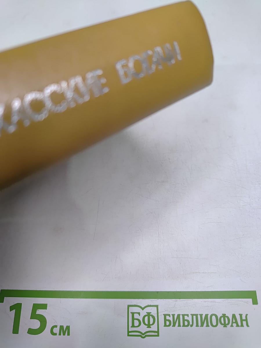 Техасские богачи