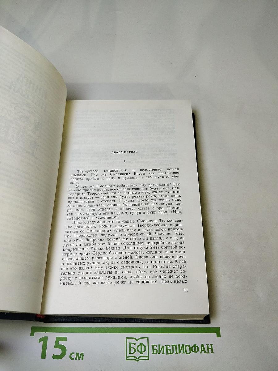 Даниил Галицкий