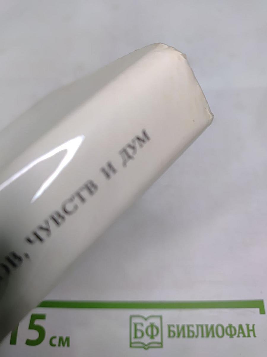 В союзе звуков, чувств и дум