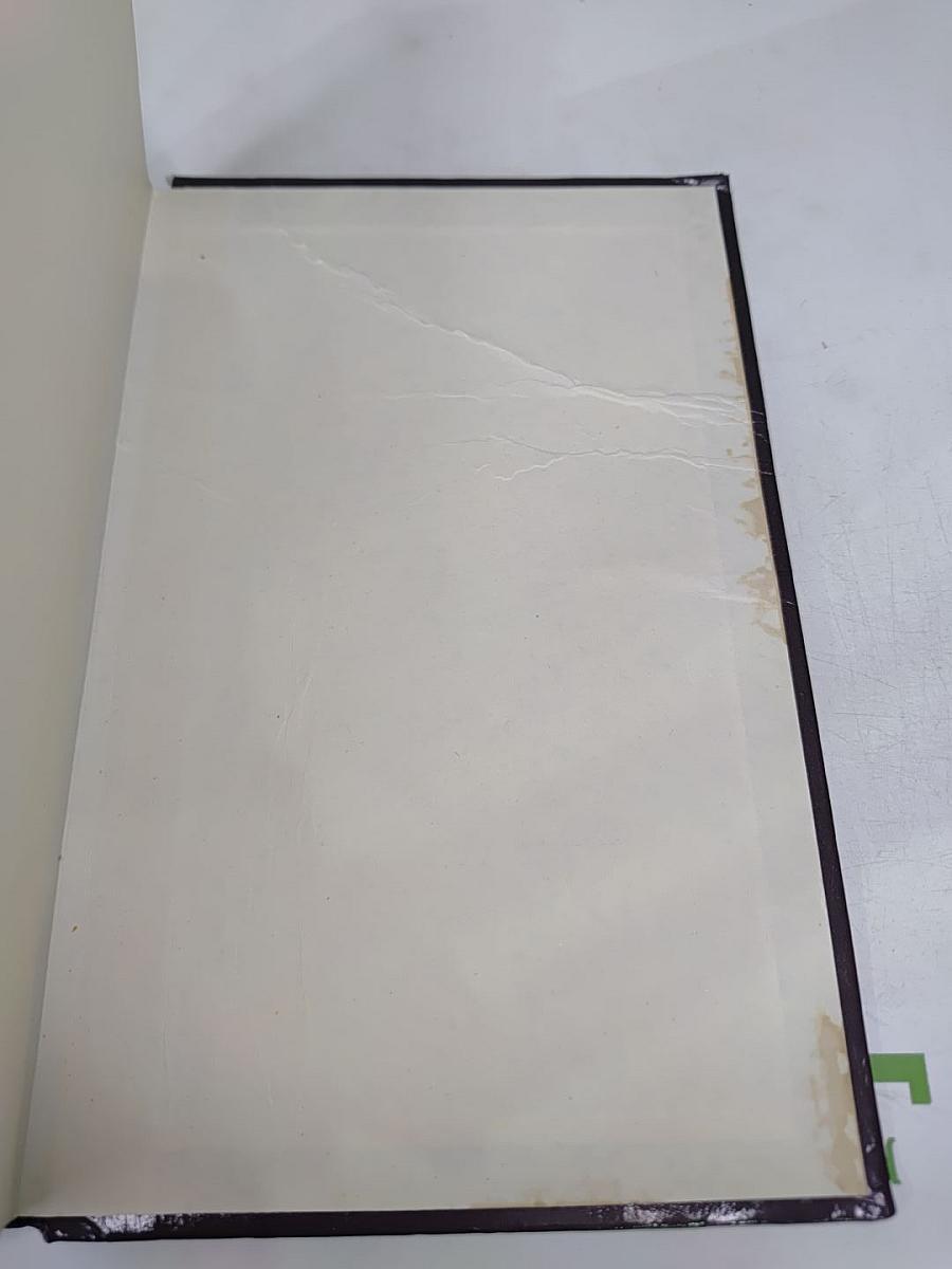 Сорвать маску. Интриганка