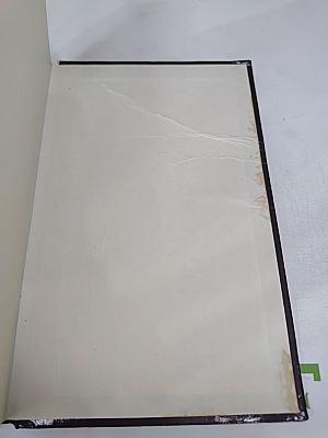 Сорвать маску. Интриганка