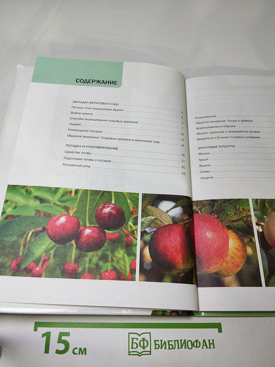 Фруктовый сад