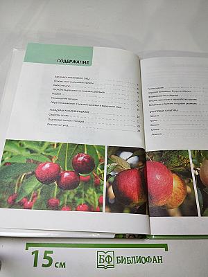 Фруктовый сад