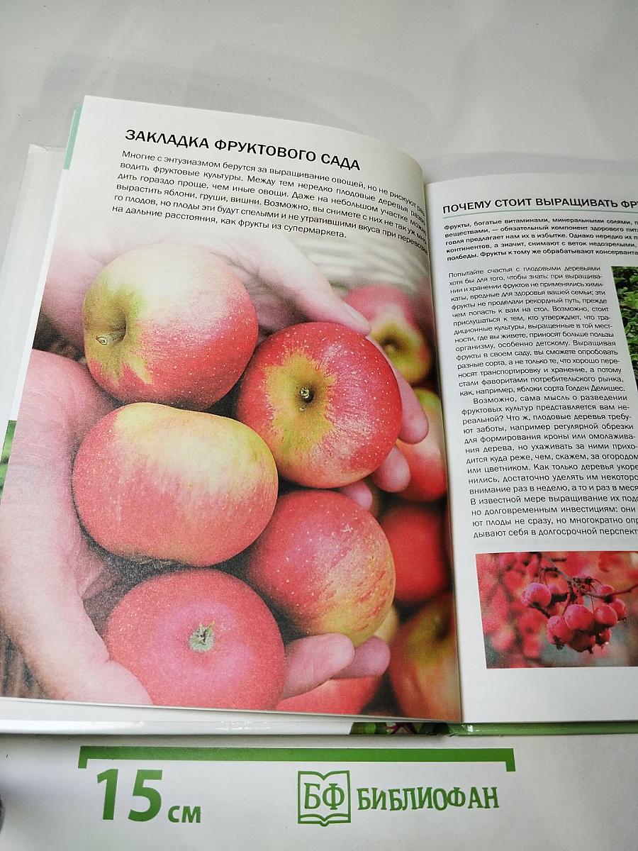 Фруктовый сад