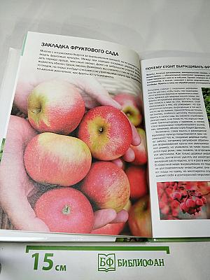 Фруктовый сад