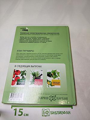 Фруктовый сад